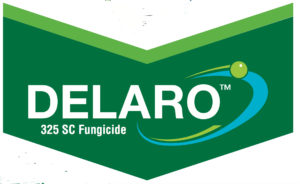 delaro logo